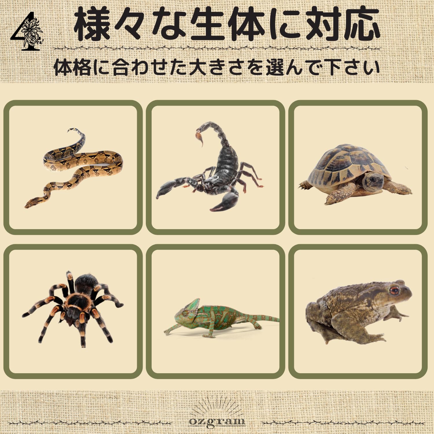爬虫類 月と太陽 角型シェルター 24 【公式通販】